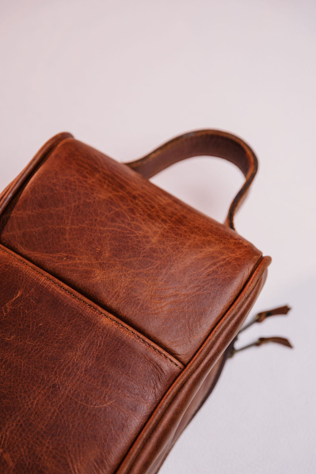 The Golf Shoe Bag